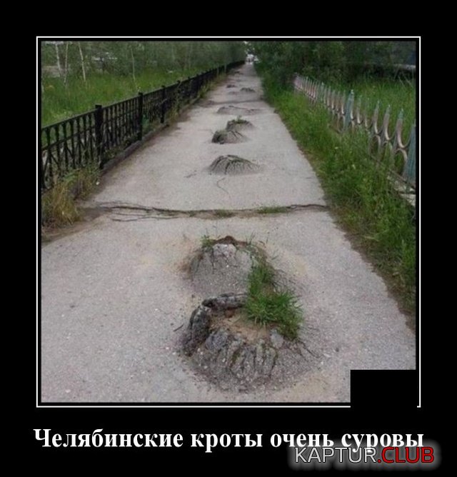 1575571799_1575295286_demotivatory_13.jpg | Рено Каптур Клуб Россия | Форум KAPTUR.SU