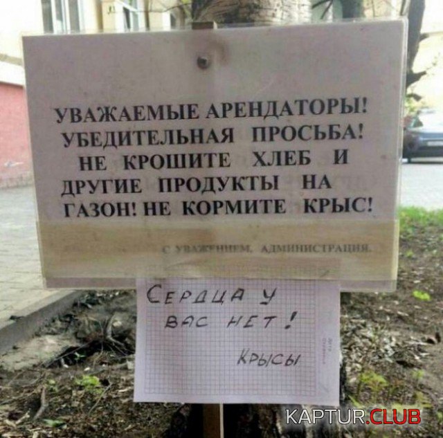 1575571953_1575384958_podb_vecher_10.jpg | Рено Каптур Клуб Россия | Форум KAPTUR.SU