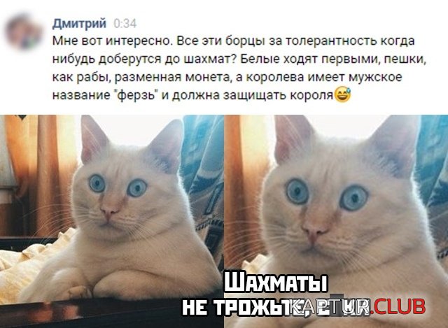 1575901829_podb_vecher_04.jpg | Рено Каптур Клуб Россия | Форум KAPTUR.SU