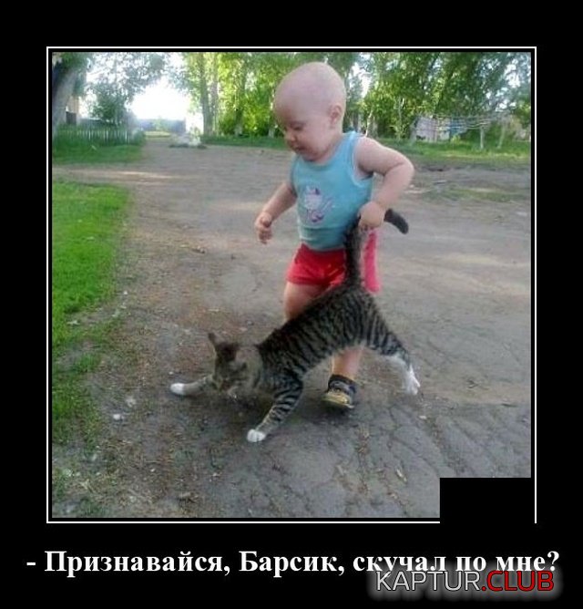 1576072367_demotivatory_20.jpg | Рено Каптур Клуб Россия | Форум KAPTUR.SU