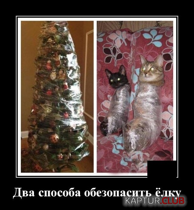 1576160210_demotivatory_08.jpg | Рено Каптур Клуб Россия | Форум KAPTUR.SU