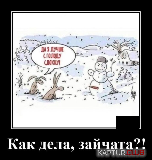 1576246736_demotivatory_18.jpg | Рено Каптур Клуб Россия | Форум KAPTUR.SU
