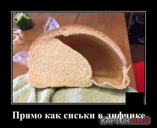 1576344319_1575985647_demotivatory_05.jpg | Рено Каптур Клуб Россия | Форум KAPTUR.SU