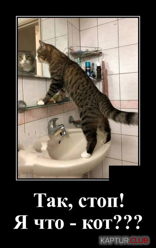 1576677426_demotivatory_13.jpg | Рено Каптур Клуб Россия | Форум KAPTUR.SU
