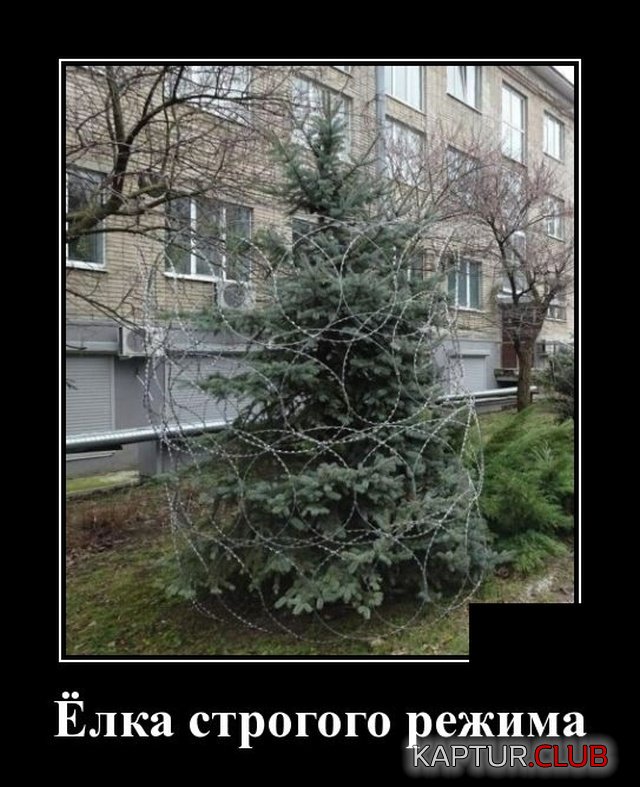 1576677445_demotivatory_06.jpg | Рено Каптур Клуб Россия | Форум KAPTUR.SU
