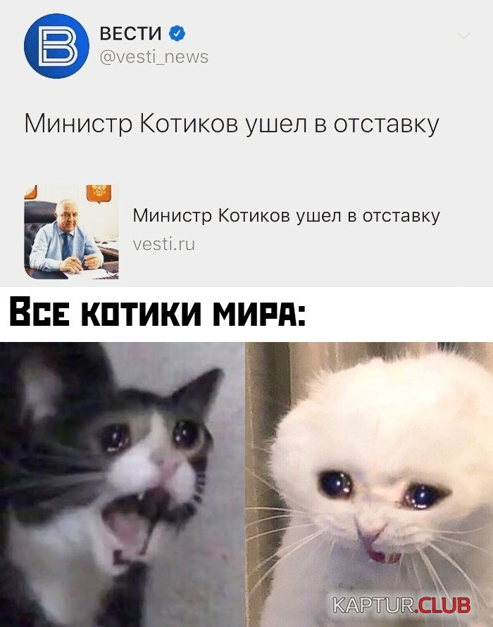 1576832680_podb_33.jpg | Рено Каптур Клуб Россия | Форум KAPTUR.SU