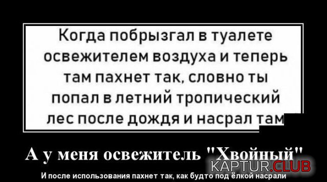 1576947393_1576677436_demotivatory_03.jpg | Рено Каптур Клуб Россия | Форум KAPTUR.SU