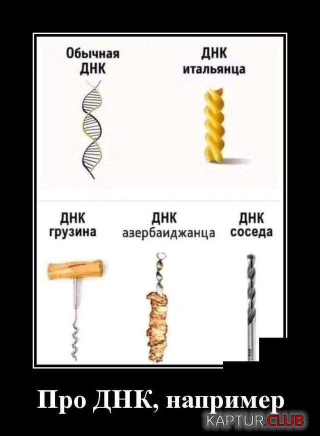 1577192764_demotivatory_07.jpg | Рено Каптур Клуб Россия | Форум KAPTUR.SU