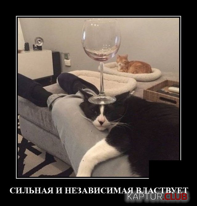1577192770_demotivatory_17.jpg | Рено Каптур Клуб Россия | Форум KAPTUR.SU