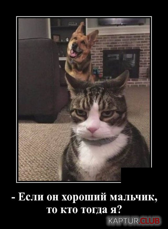 1577281249_demotivatory_09.jpg | Рено Каптур Клуб Россия | Форум KAPTUR.SU