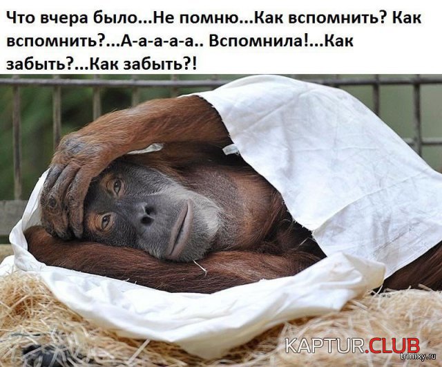 157753_2_trinixy_ru.jpg | Рено Каптур Клуб Россия | Форум KAPTUR.SU