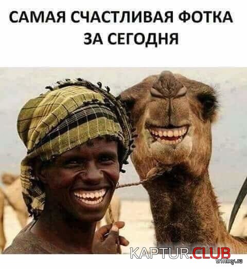 157753_4_trinixy_ru.jpg | Рено Каптур Клуб Россия | Форум KAPTUR.SU