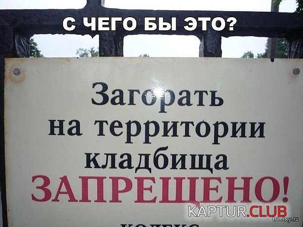 157753_5_1521200386_trinixy_ru.jpg | Рено Каптур Клуб Россия | Форум KAPTUR.SU