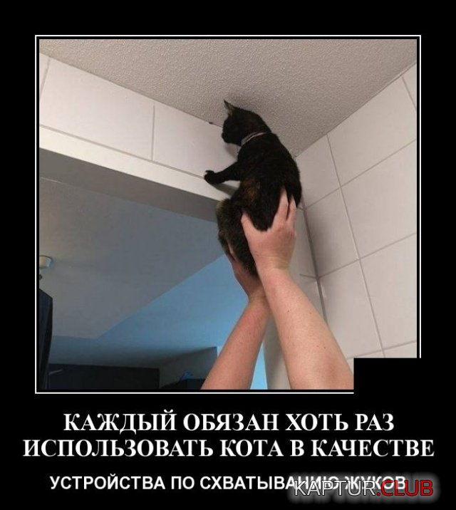 1578648086_1578480575_demotivatory_02.jpg | Рено Каптур Клуб Россия | Форум KAPTUR.SU