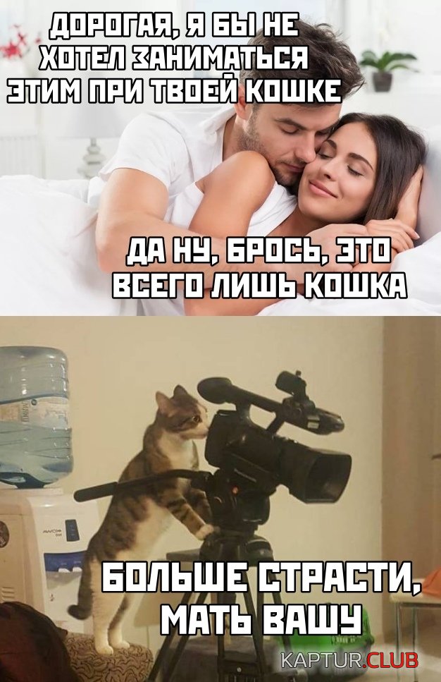 1578668043_podb_vecher_35.jpg | Рено Каптур Клуб Россия | Форум KAPTUR.SU