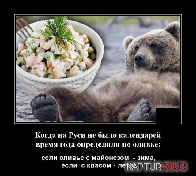 1578926085_1578577572_demotivatory_12.jpg | Рено Каптур Клуб Россия | Форум KAPTUR.SU