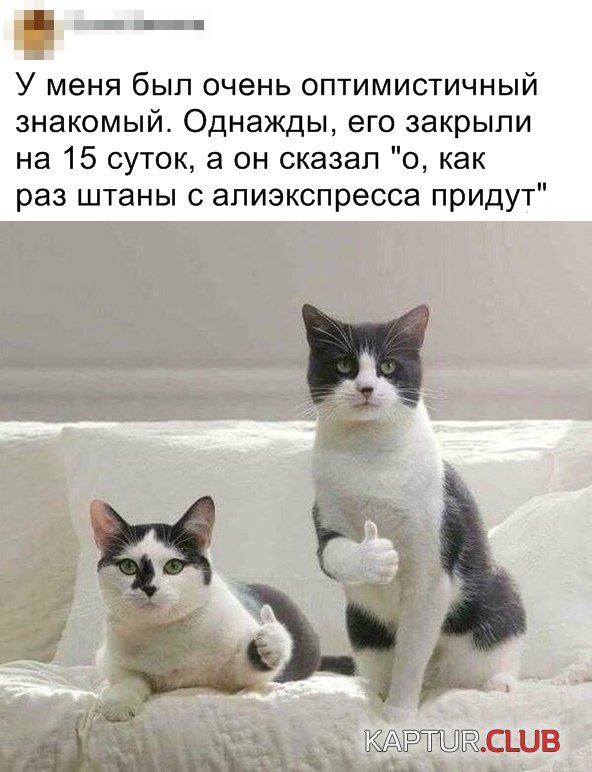 1578993136_podb_02.jpg | Рено Каптур Клуб Россия | Форум KAPTUR.SU