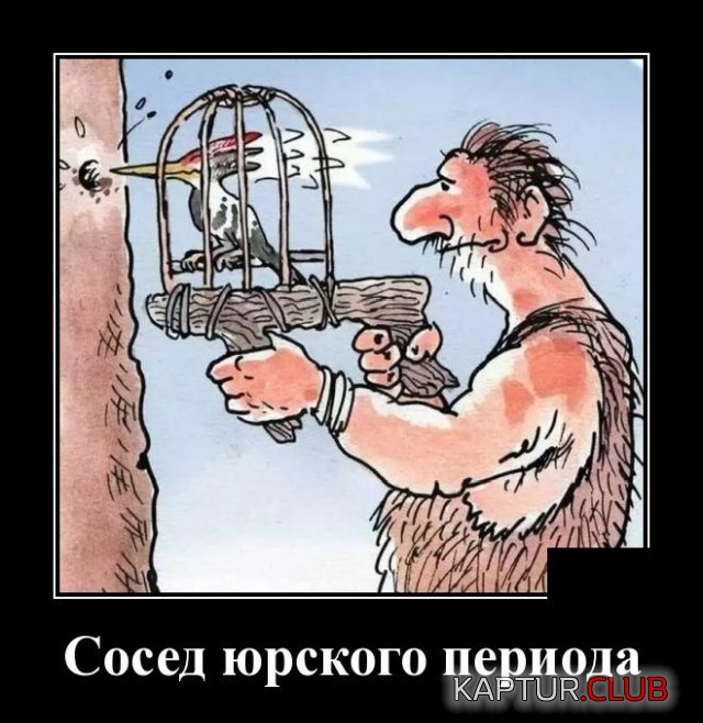 1579094441_demotivatory_01.jpg | Рено Каптур Клуб Россия | Форум KAPTUR.SU