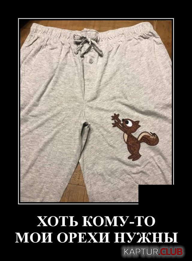1579094441_demotivatory_16.jpg | Рено Каптур Клуб Россия | Форум KAPTUR.SU