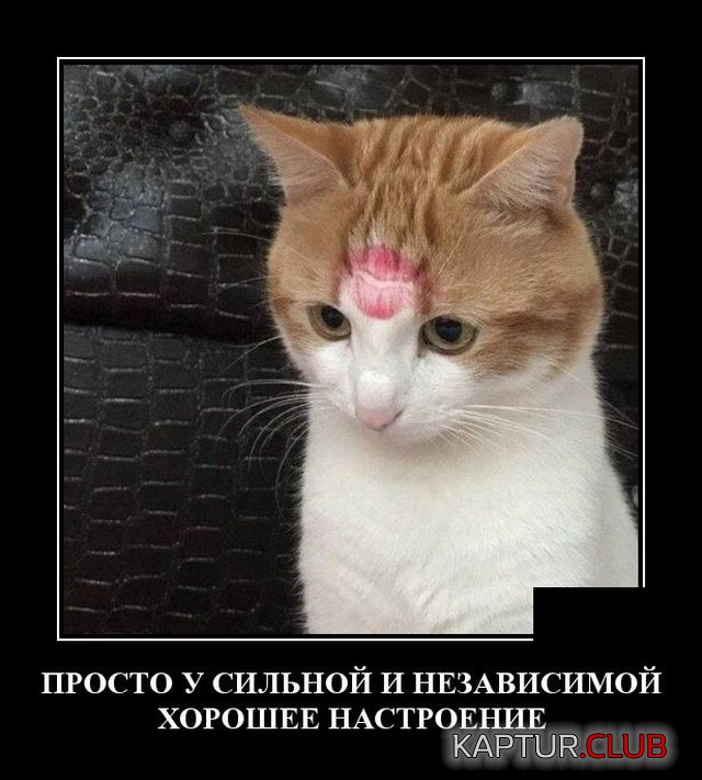 1579094442_demotivatory_14.jpg | Рено Каптур Клуб Россия | Форум KAPTUR.SU