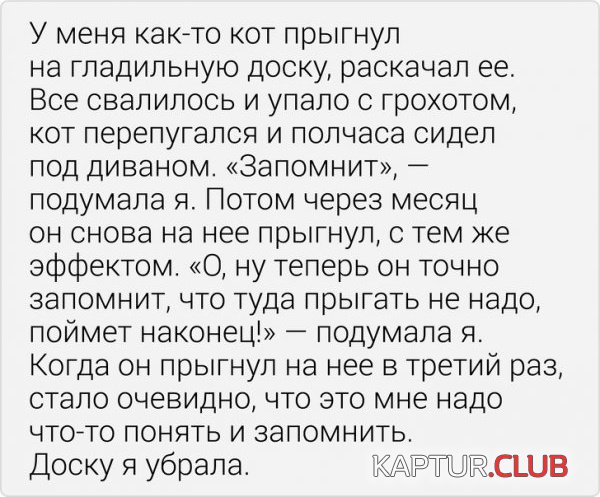 1579186102_03.jpg | Рено Каптур Клуб Россия | Форум KAPTUR.SU