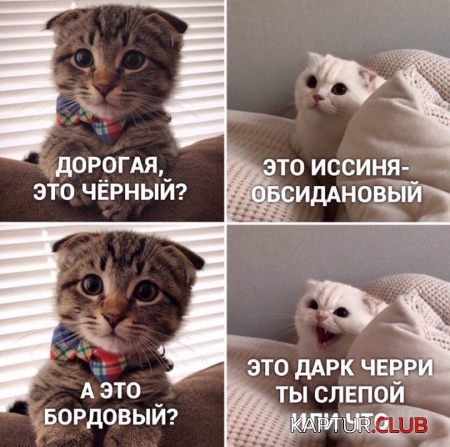 1579187149_podb_vecher_35.jpg | Рено Каптур Клуб Россия | Форум KAPTUR.SU