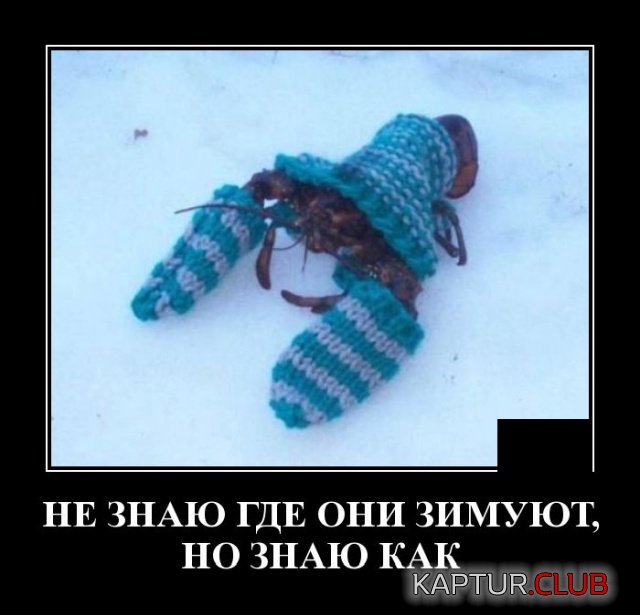 1579247228_1579094456_demotivatory_13.jpg | Рено Каптур Клуб Россия | Форум KAPTUR.SU