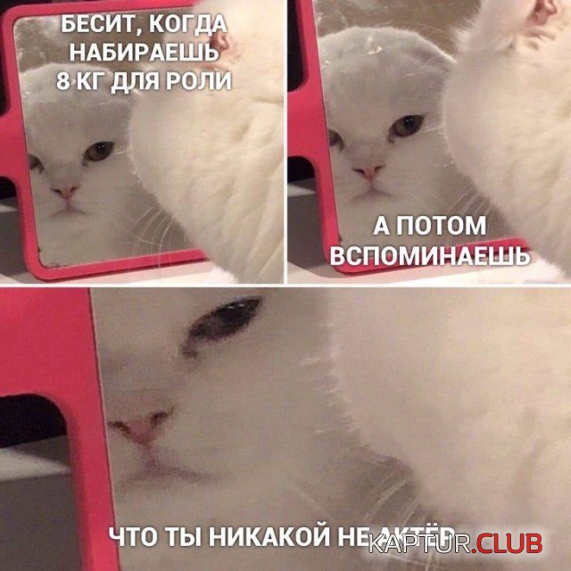 1579262118_1579099495_podb_05.jpg | Рено Каптур Клуб Россия | Форум KAPTUR.SU