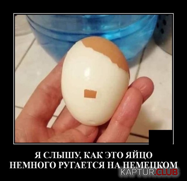 1579270150_demotivatory_14.jpg | Рено Каптур Клуб Россия | Форум KAPTUR.SU