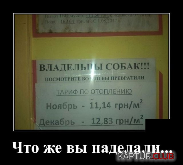 1579529329_demotivatory_15.jpg | Рено Каптур Клуб Россия | Форум KAPTUR.SU