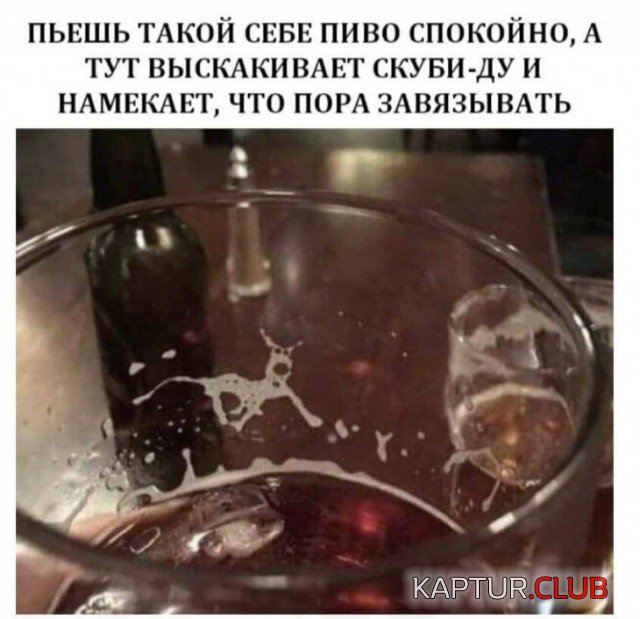 1579618494_podb_vecher_03.jpg | Рено Каптур Клуб Россия | Форум KAPTUR.SU