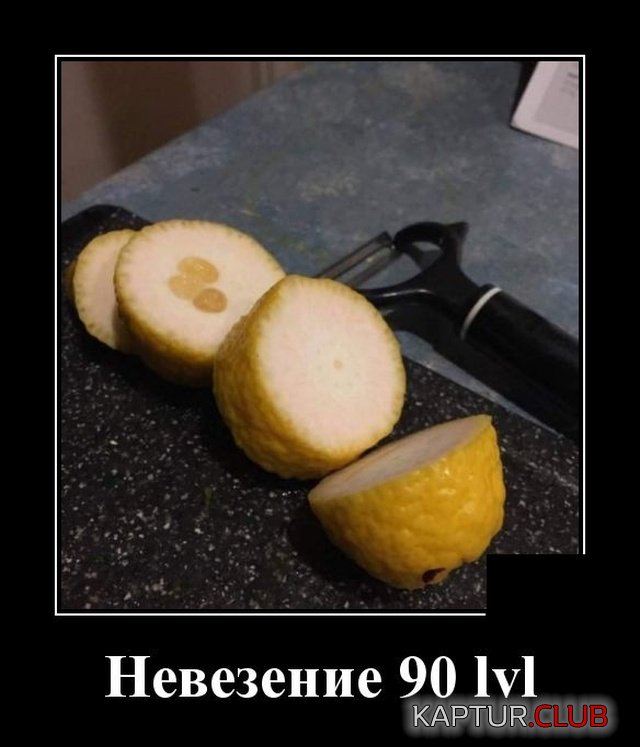 1579698587_demotivatory_13.jpg | Рено Каптур Клуб Россия | Форум KAPTUR.SU