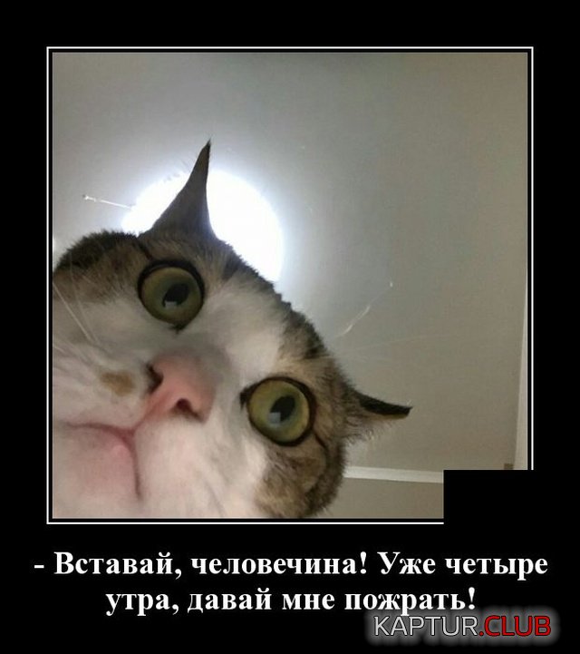 1579698598_demotivatory_06.jpg | Рено Каптур Клуб Россия | Форум KAPTUR.SU