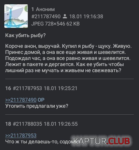 1579851055_1579845724_prik-38.jpeg | Рено Каптур Клуб Россия | Форум KAPTUR.SU