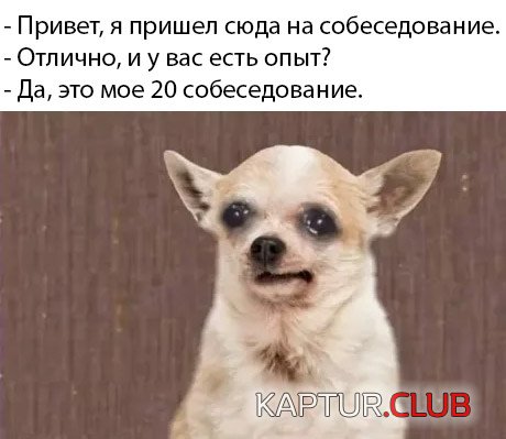 1579878300_podb_vecher_29.jpg | Рено Каптур Клуб Россия | Форум KAPTUR.SU