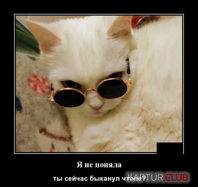 1580035399_1579786363_demotivatory_14.jpg | Рено Каптур Клуб Россия | Форум KAPTUR.SU