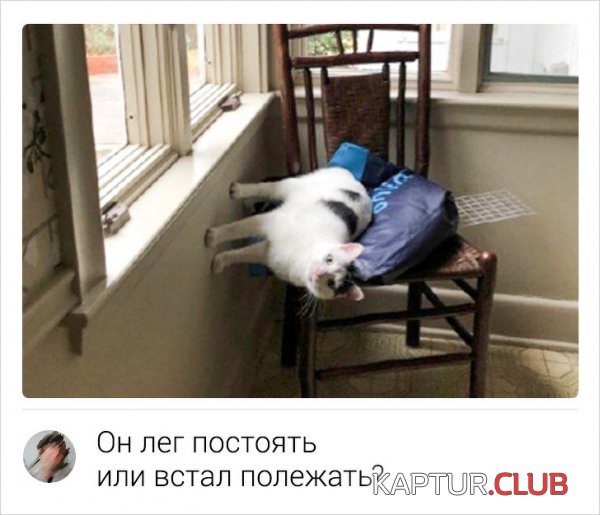 1580729477_187932_1_trinixy_ru.jpg | Рено Каптур Клуб Россия | Форум KAPTUR.SU