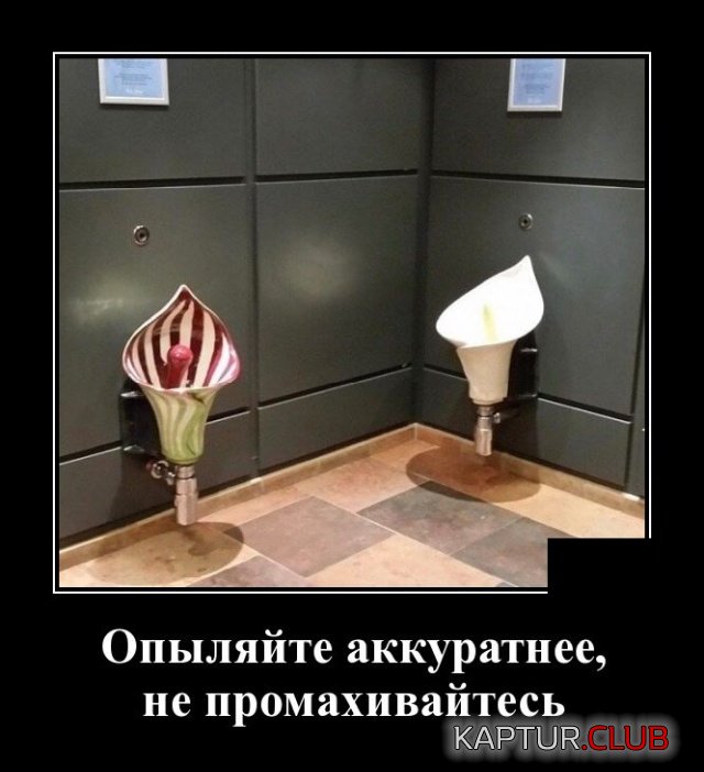1580730152_1580395236_demotivatory_14.jpg | Рено Каптур Клуб Россия | Форум KAPTUR.SU