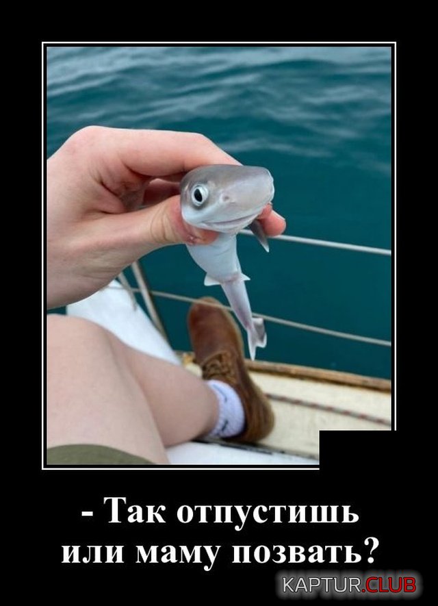 1580736080_demotivatory_03.jpg | Рено Каптур Клуб Россия | Форум KAPTUR.SU