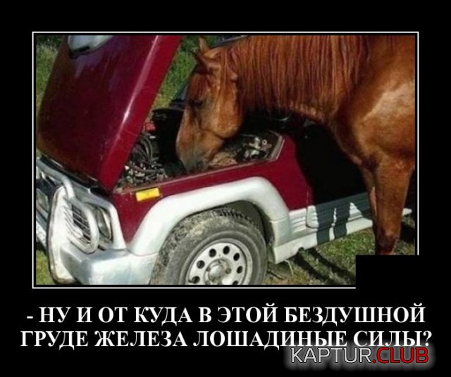 1580736099_demotivatory_20.jpg | Рено Каптур Клуб Россия | Форум KAPTUR.SU