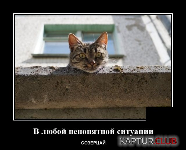 1580736103_demotivatory_09.jpg | Рено Каптур Клуб Россия | Форум KAPTUR.SU