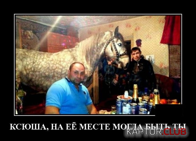 1580736123_demotivatory_16.jpg | Рено Каптур Клуб Россия | Форум KAPTUR.SU