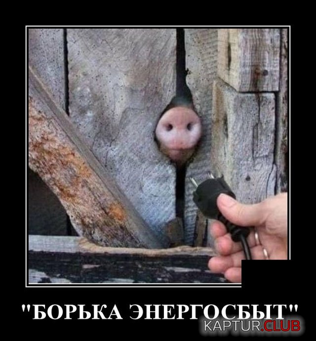 1580822744_demotivatory_14.jpg | Рено Каптур Клуб Россия | Форум KAPTUR.SU