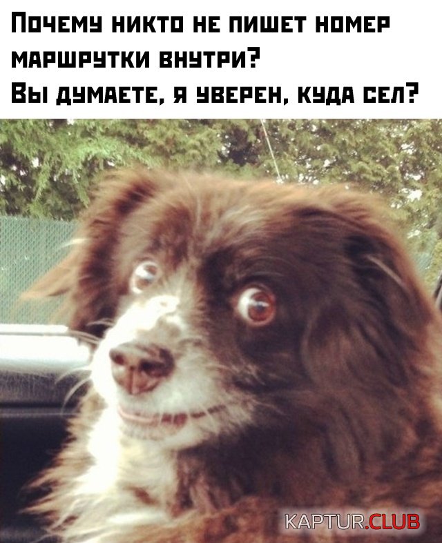 1580896960_podb_30.jpg | Рено Каптур Клуб Россия | Форум KAPTUR.SU