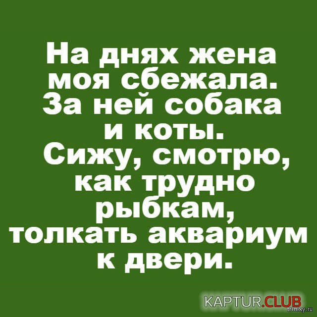 158089_23_trinixy_ru.jpg | Рено Каптур Клуб Россия | Форум KAPTUR.SU