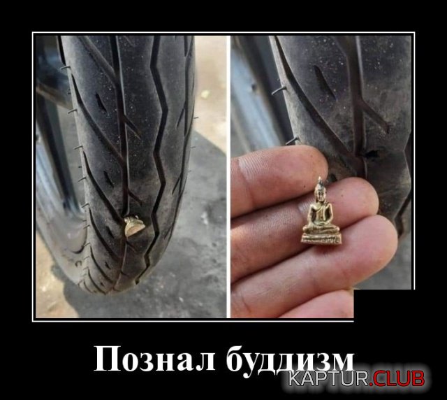 1580910049_demotivatory_17.jpg | Рено Каптур Клуб Россия | Форум KAPTUR.SU