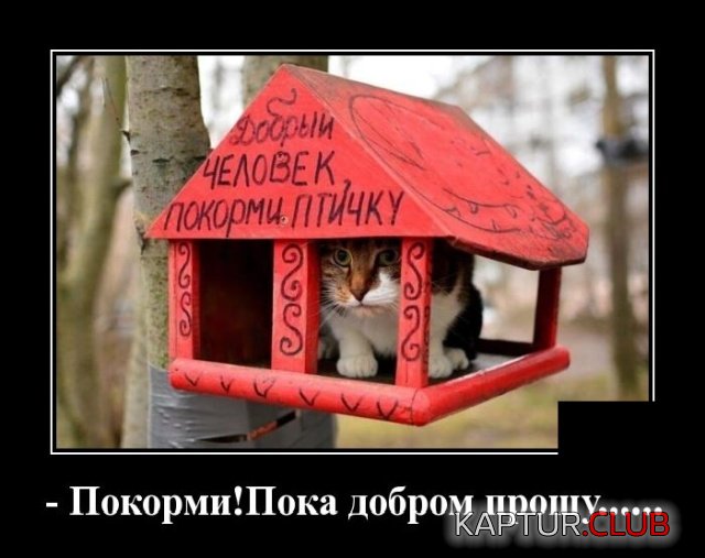 1580997132_demotivatory_09.jpg | Рено Каптур Клуб Россия | Форум KAPTUR.SU