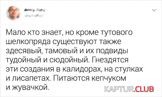 1581065804_188210_12_trinixy_ru.png | Рено Каптур Клуб Россия | Форум KAPTUR.SU
