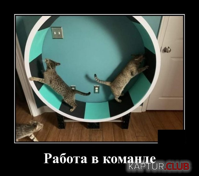 1581344675_demotivatory_05.jpg | Рено Каптур Клуб Россия | Форум KAPTUR.SU