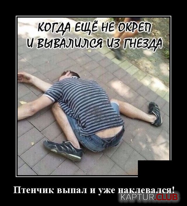 1581344688_demotivatory_09.jpg | Рено Каптур Клуб Россия | Форум KAPTUR.SU